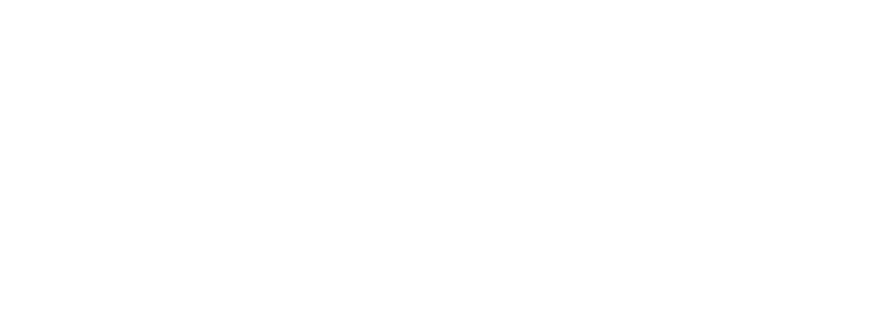 NVT Logo